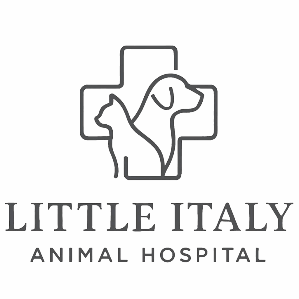 Little Italy Logo Colored
