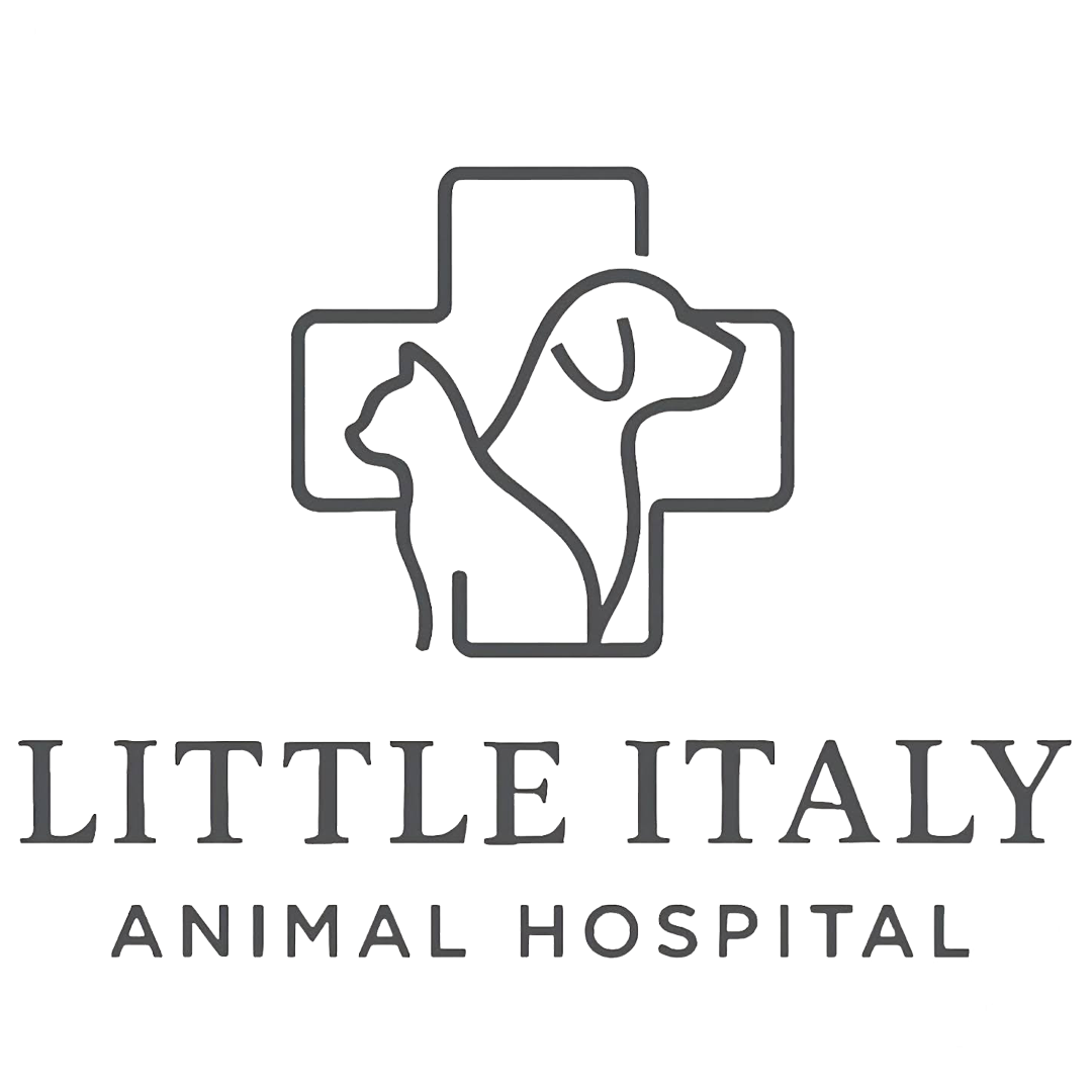 Little Italy Logo Colored