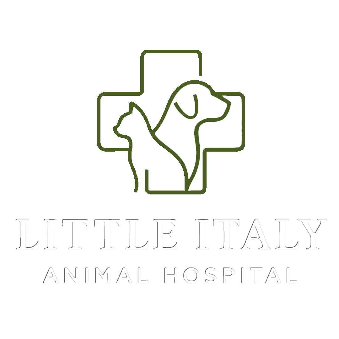 Little-Italy-no-Background Green Icon