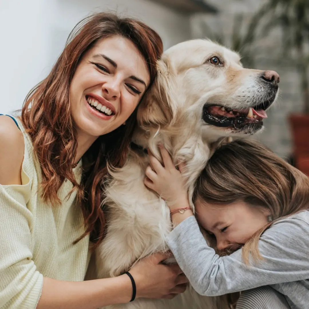 Family Pets